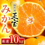 ふるさと納税 八幡浜市 【愛媛名産】玉宝みかん【雫・・小玉】 10kg【G64-30】