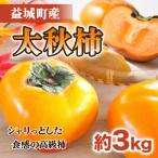 太秋柿 約3kg