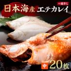 エテカレイ一夜干し 中サイズ 朝食サイズ 20枚