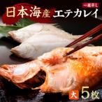 エテカレイ一夜干し 大サイズ 夕食サイズ 5枚