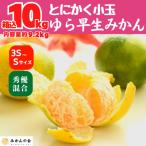 有田みかん小玉 箱込 10kg