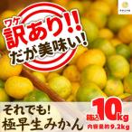 ふるさと納税 有田川町 訳あり 有田みかん【極早生】箱込 10kg (内容量 9.2kg) サイズミックス 和歌山