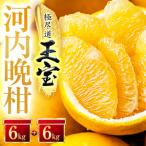 玉宝河内晩柑 12kg