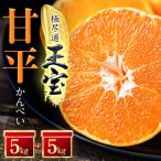 ふるさと納税 八幡浜市 「玉宝ブランド」【甘平】10kg【H64-45】