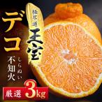 玉宝デコ 不知火 3kg