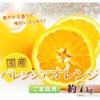 希少な バレンシアオレンジ 約7kg