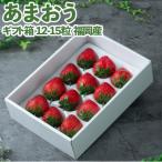 福岡産あまおう 箱 12-15粒