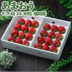 福岡産あまおう 箱 24-30粒