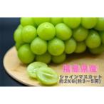 ふるさと納税 伊達市 【2025年9月下旬より発送】福島県産 シャインマスカット 約2kg(約3〜5房)