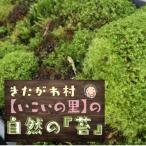 地域のお礼の品 <応援してください>