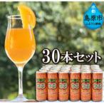 ふるさと納税 島原市 つぶオレンジみかんドリンクセット  30本(各250g)(島原市)