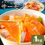 ふるさと納税 泉佐野市 タスマニアサーモン ポーション 1kg アトランティクサーモン 真空パック 訳あり kgp0054