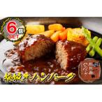 松阪牛ハンバーグ デミグラスソース 170g×6個セット