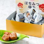 紀州南高梅 はちみつ梅干 テトラピロー 12個入り
