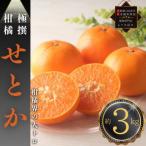柑橘界の大トロ せとか 約3kg