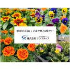 ふるさと納税 刈谷市 【ファーム直送】季節の花苗/おまかせ24株セット(春)