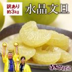 ふるさと納税 土佐市 【秋の味覚】 水晶文旦 訳ありご家庭用 約3kg(6〜7個入り)