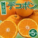 ご家庭向け 濃厚甘味の不知火 しらぬい 約5kg