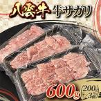 八雲牛 牛サガリ 600g