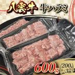 八雲牛 牛ハラミ 600g
