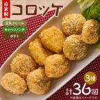 毎日のお弁当にも 自家製コロッケ3種 豆乳クリーム