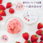 栃木のいちご4品種 ジェラート詰め合わせ