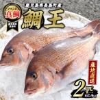 特産 鯛王 2匹