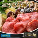 ふるさと納税 小浜市 三ツ星若狭牛切り落とし　450g