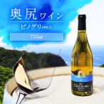 ふるさと納税 奥尻町 「奥尻ワイン」ピノグリ(中口)750ml