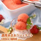 採れたて 福岡産濃厚あまおうジェラート1000ml