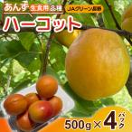 JAグリーン長野 あんず 生食用品種 ハーコット 500g×4パック