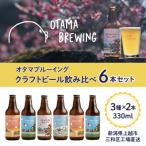 ショッピングふるさと納税 ビール ふるさと納税 上越市 クラフトビール飲み比べ6本セット　新潟県上越市 330ml 定番4種から3種×2本　工場直送