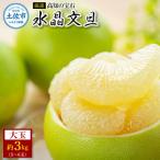 水晶文旦 約3kg