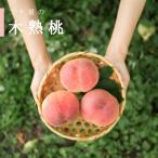 ふるさと納税 山梨市 三十屋木熟桃 【3kg】