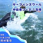 個人向けのレベルアップサーフィンスクール