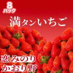 ふるさと納税 南伊豆町 完熟いちご(約230g×8パック) 恋みのり、かおり野 から厳選【2026年発送】