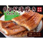 産うなぎの蒲焼き 2尾セット