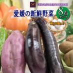 ふるさと納税 松山市 野菜セット8品 ( みかんたまご 10個入り )