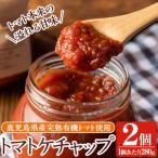 トマトケチャップ2個 280g×2個