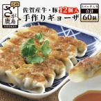 佐賀産牛 佐賀産豚の手作りギョーザ 5パック