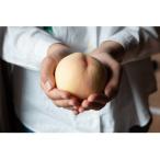 おかやま夢白桃 約2kg