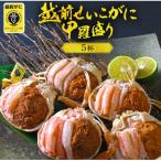 ふるさと納税 越前町 越前せいこ蟹 甲羅盛り「身出し」セット 5杯【11月より順次発送】