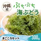 ぷちぷち海ぶどう まごころセット 300g