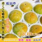 新感覚の触感と甘さ 太秋柿 約3 5kg
