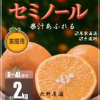 訳あり セミノール 和歌山 有田 S~4Lサイズ混合
