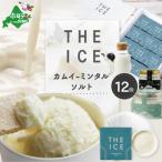 アイスクリームセット12個
