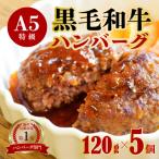 訳アリA5ランク黒毛和牛100%ハンバーグ