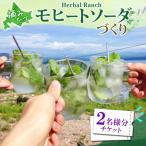 モヒートソーダ作り体験 ミント ノンアルコール