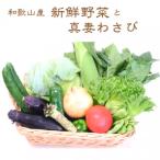 fu.... налог печать юг блок Wakayama производство подлинный . васаби ... свежий овощи комплект 10 вид степень 
