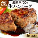 飛騨牛100%生ハンバーグ 120g×5個